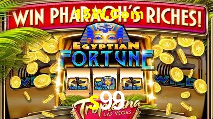 Casino Ao Vivo s99